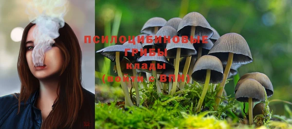спайс Гвардейск