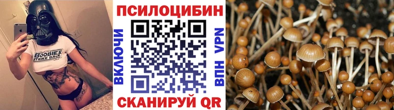 Галлюциногенные грибы Cubensis  Заозёрск 